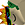 Space_Developer - Frequent Poster