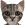 Sir_Bedevere - Frequent Poster